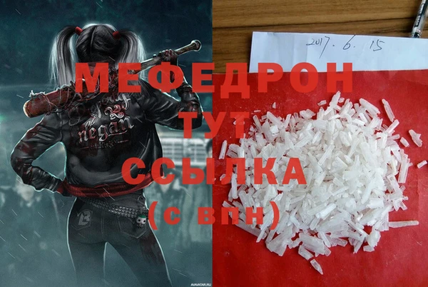 гашик Ельня
