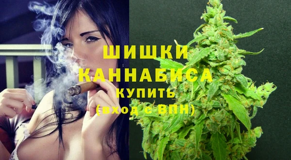 прущие грибы Абдулино