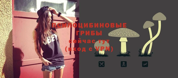 молекула духа Абинск