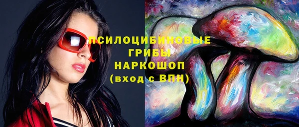 прущие грибы Абдулино