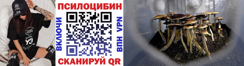 blacksprut ссылка  Ялта  Галлюциногенные грибы Magic Shrooms 